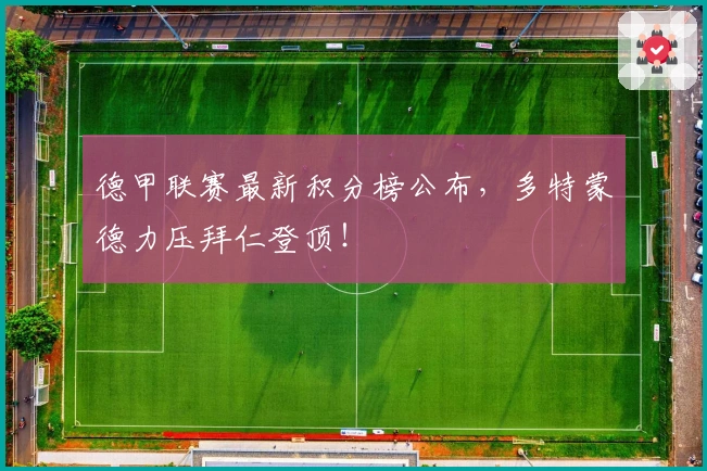 德甲联赛最新积分榜公布，多特蒙德力压拜仁登顶！